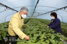금산군 깻잎, 2021년 연매출 635억 원 달성