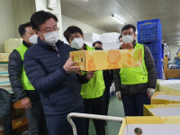 충남세종농협, 설 명절 경제사업장 찾아 농산물 출하상황 챙겨