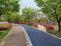 천안시시설관리공단, 천안축구센터 산책로 개선 완료