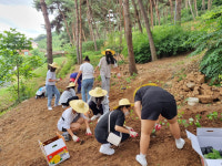 당진시 학생4-H 회원, 환경정화에 구슬땀