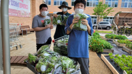 천안늘해랑학교, 쌈채소 나눔 행사 실시