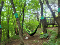 산림복지진흥원, 내부직원 힐링캠프 운영