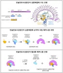 IBS, 성장 조절 인자 비밀 밝혔다