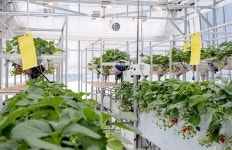 ETRI, 도시형 디지털 트윈 팜 구축