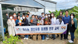 서산에서 파파야가 자란 비결이 궁금해