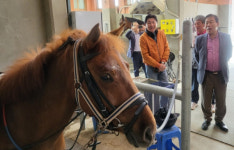 최민호 세종시장, 장군면의 역사문화·관광 자원 육성할 것