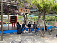 대전 중구 뿌리공원 효(孝) 세족장 운영