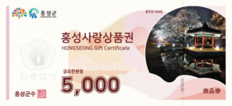 연매출 30억 넘는 홍성사랑상품권 가맹점 96개소 등록 취소 사용처 확인 필수