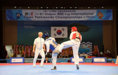 대전MBC배 태안 국제오픈 태권도 대회 성공적 마무리
