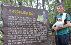노고성과 애기바위 전설이 깃든 세종시 노고봉...자연향기 흠뻑