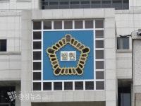 종이 번호판 달고 다닌 대전 동구청 공무원 실형
