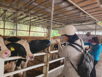 대전세종소비자공익네트워크, 소비자 육우 현장 탐방 나서