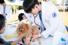 충남대, 지역사회와 함께하는 CNU 무료 클리닉 데이 호응