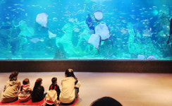 서산시, 드림스타트 아동 대전신세계 ART&SCIENCE에서 문화체험