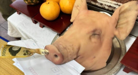 돼지머리에 돈 꽂은 동구의원...선거법 위반 논란