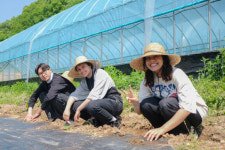 우송대, 외국인 유학생 전통씨앗 농장체험