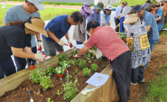 태안군, 새내기 귀농인 현장 중심 영농교육 운영
