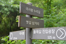 김종서 장군의 숨결이 깃든 세종시 숨은 명산 국사봉 누리길 걷다