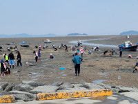 서산시 중리어촌체험마을, 충남 유일 7월 가볼 만한 곳 선정