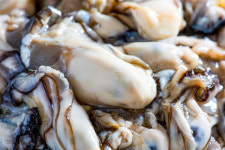 겨울 보령, 천북굴부터 꽃게탕까지 미식여행 맛투어 어때요?