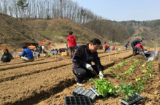 세종시 농업기술센터, 주말농장 17일 부터 분양