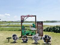 세종호수·중앙공원, 체험형 콘텐츠로 부상