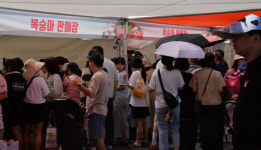 제23회 조치원복숭아 축제, 10만 인파 몰리며 성황리에 마무리