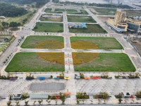 LH 세종본부 나성동 대규모 꽃밭 조성, 시민 힐링공간 마련