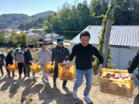 금산군의회, 가을철 농촌 일손돕기 나서