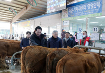 이완섭 서산시장, 가축경매시장 방문 농가 목소리 청취