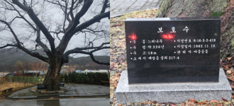 [아산의 동제] 9회(기획) 아산시 배방읍 중3리 성황제
