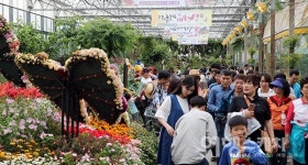 함평나비대축제, 나비야 나비야 함평으로 날아오너라
