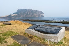 [제주 4.3 70주년] 평화의 섬 제주, 동백꽃 따라 4.3을 걷다