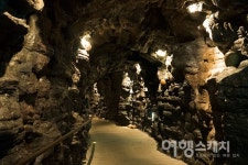 [제주 4.3 70주년] 평화의 섬 제주, 동백꽃 따라 4.3을 걷다