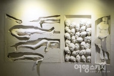[제주 4.3 70주년] 평화의 섬 제주, 동백꽃 따라 4.3을 걷다