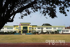 [제주 4.3 70주년] 평화의 섬 제주, 동백꽃 따라 4.3을 걷다