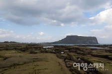 [제주 4.3 70주년] 평화의 섬 제주, 동백꽃 따라 4.3을 걷다