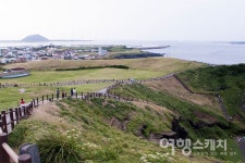 [제주 4.3 70주년] 평화의 섬 제주, 동백꽃 따라 4.3을 걷다