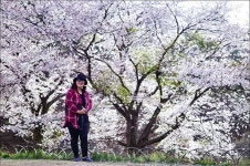 [봄 여행주간] 무진장(무주·진안·장수) 봄길여행 ② - 진안고원길 1구간 마이산길 B코스