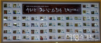 [봄 여행주간] 무진장(무주·진안·장수) 봄길여행 ② - 진안고원길 1구간 마이산길 B코스