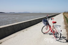 걷고, 달리기 좋은 영광 설도항... 붉은 노을 명소 백수해안노을길
