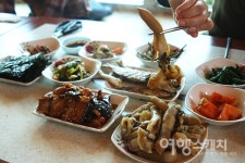 [봄 여행주간] 당일치기 섬 여행? 영광 송이도로 가즈아~