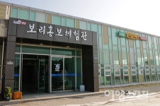 [봄 여행주간] 5월은 청보리 넘실대는 영광으로 보리투어 가보리!