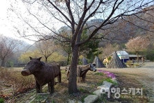 [봄 여행주간]누구나 걷기 좋은 길, 횡성 호수길 5구간