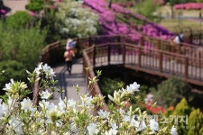 도심 속 낙원! 순천만 국가정원 하루 여행