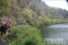 [봄 여행주간} 강을 끼고 걷는 꽃길, 금강 길 여행