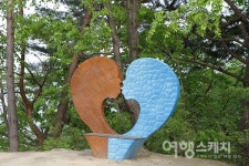 연초록 물결로 출렁이는 원대리 자작나무숲... 하늘 향해 곧게 뻗은 41만 그루의 향연