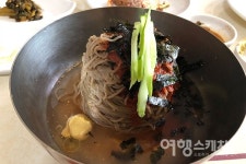 연초록 물결로 출렁이는 원대리 자작나무숲... 하늘 향해 곧게 뻗은 41만 그루의 향연