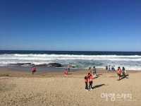 강릉의 자연을 달리는 TNF 100 KOREA  개최