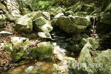 [여름여행] 삼복더위에 얼음이 어는 곳이 있다? 한여름 온도 4~8도인 밀양 얼음골